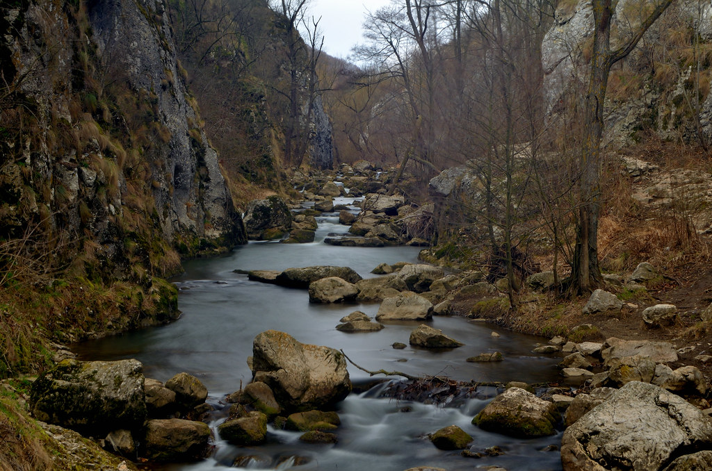 Una piedra en el&nbsp;camino